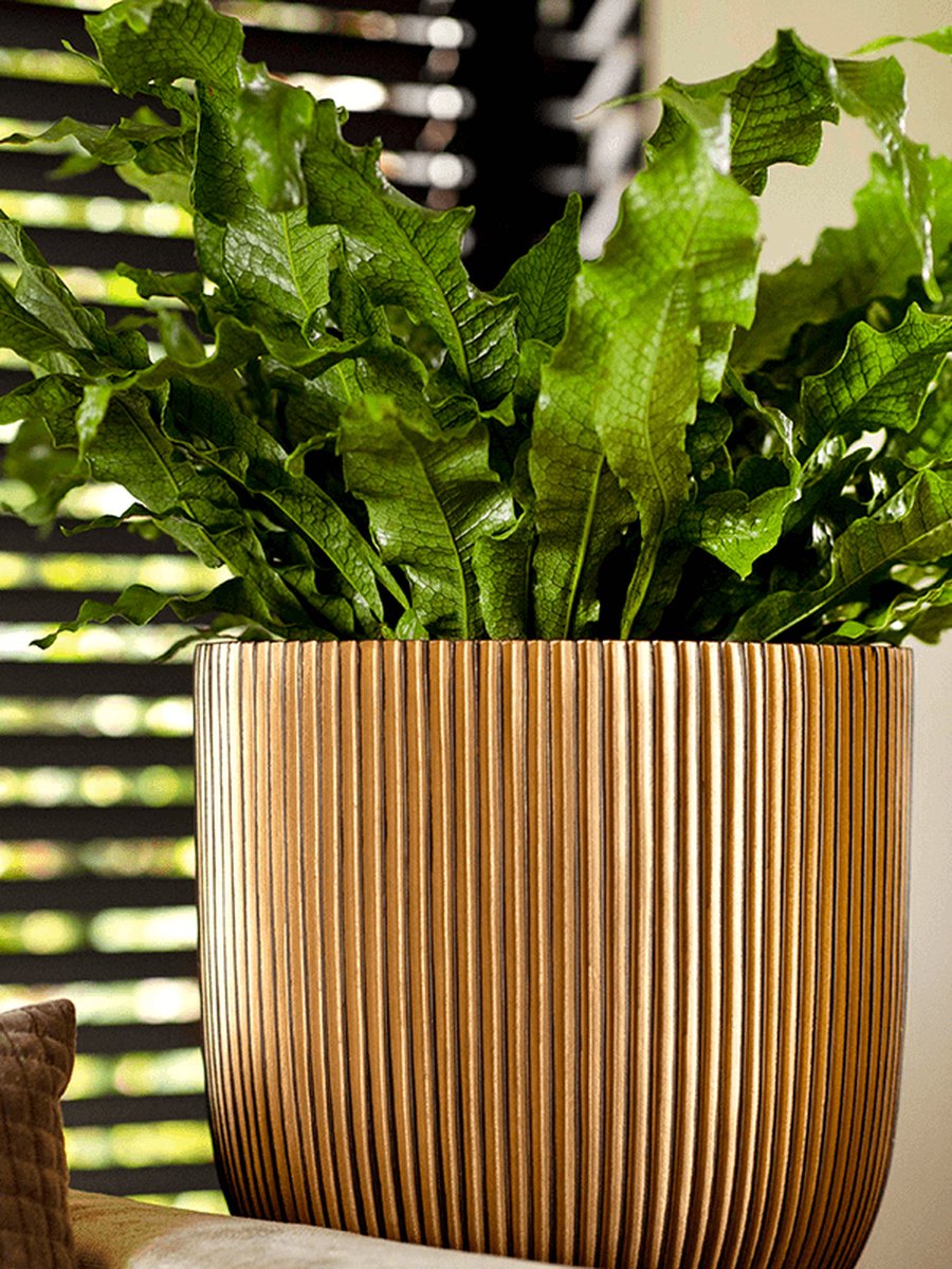  Capi Europe - Bloempot Bol Groove - 23x21 - Goud - Bloempot Voor Binnen - BGVGB134