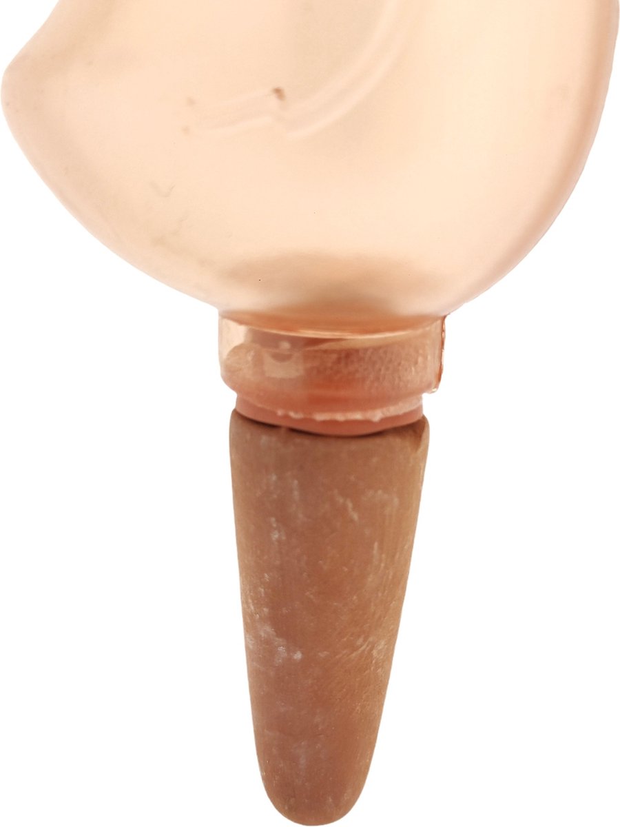  JS Drippy - Waterdruppelaars Set Van 2 Stuks - Druppelaar Vogel - Druppelsysteem Planten - Watergeefsysteem Kamerplanten - Waterbol - Roze