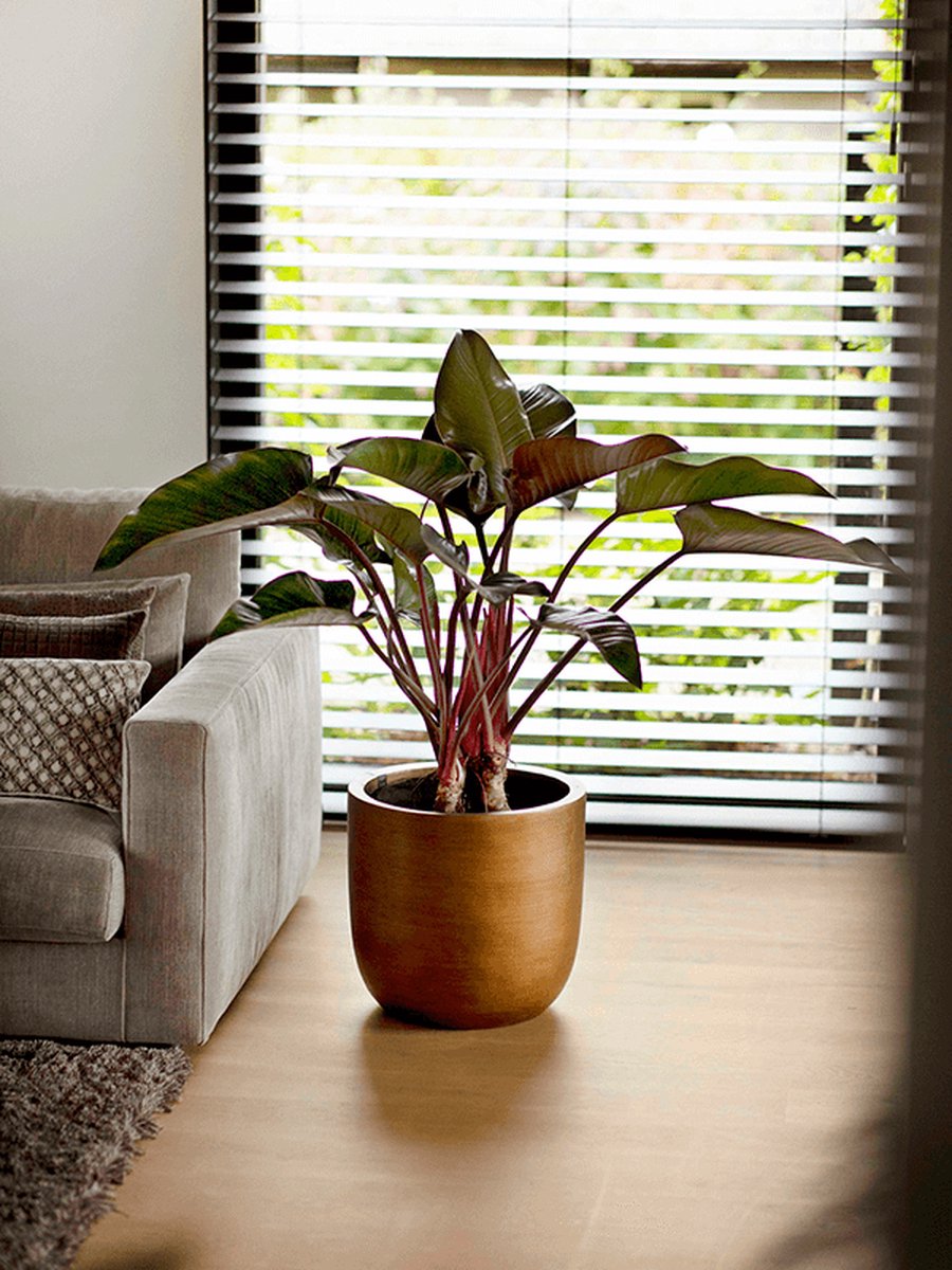  Capi Europe - Bloempot Bol Retro XL - 42x41 - Goud - Bloempot Voor Binnen - Opening ⌀36 - RTG933