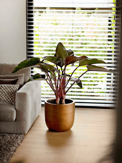  Capi Europe - Bloempot Bol Retro XL - 42x41 - Goud - Bloempot Voor Binnen - Opening ⌀36 - RTG933
