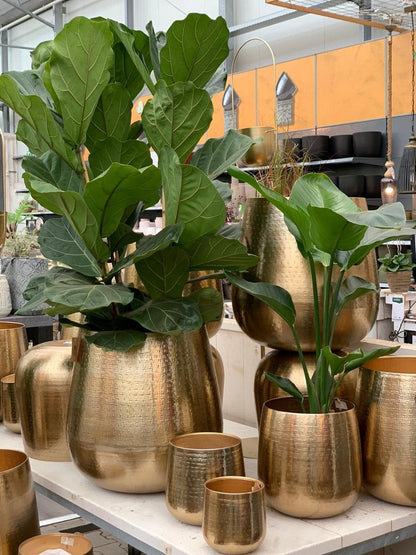 Merkloos Bloempot Karakter Goud - L