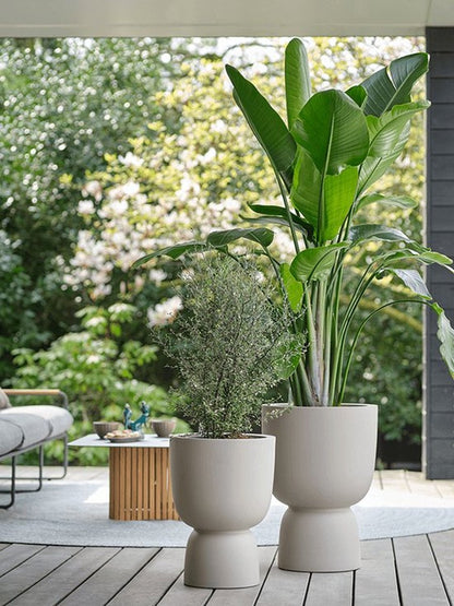  Elho Pure Coupe 41 - Bloempot Voor Binnen &amp; Buiten - Ø 41.3 X H 57.9 Cm - Beige/Balanced Beige