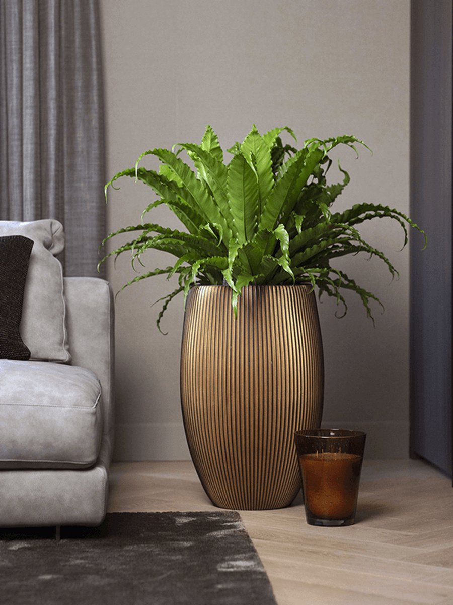  Capi Europe - Vaas Elegant Deluxe Groove XL - 40x61 - Goud - Bloempot Voor Binnen - Opening ⌀29 - GVGB1131
