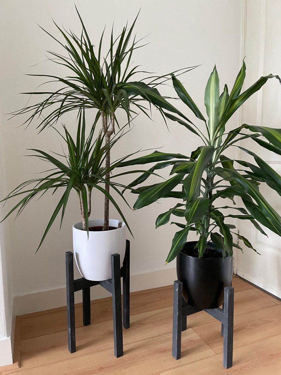 Plantenstandaard Binnen - Set Van 2 - Diameter Tot 24 Cm - Plantenkruk - Bloempotten Voor Binnen - Plantentafeltje Voor Binnen - Bloempot Standaard - Plantenstandaard - Hout - Mat Zwart/Donkergrijs