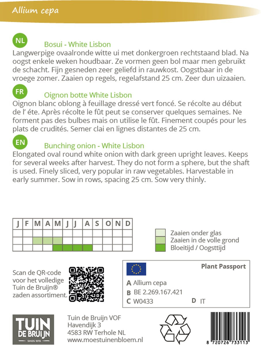  Tuin De Bruijn® Zaden - Bosui White Lisbon