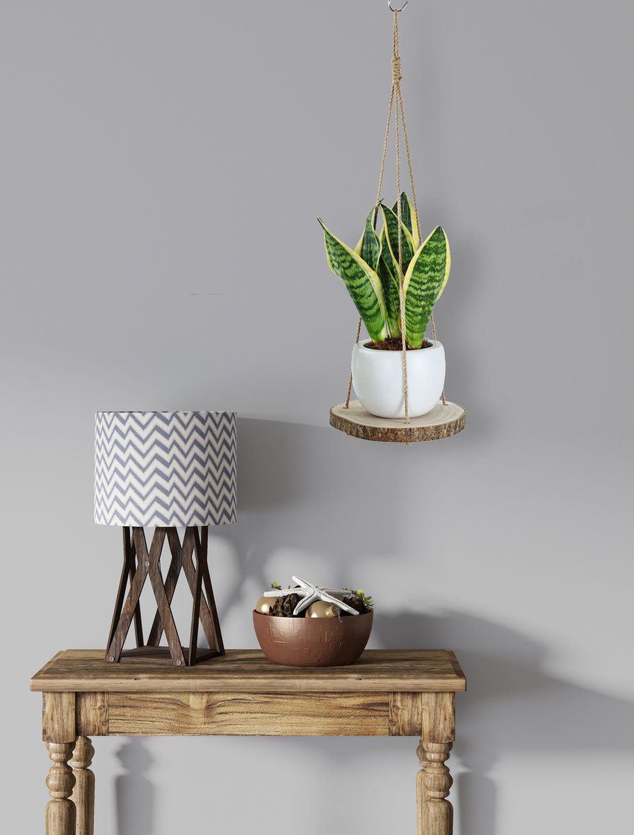  Set Van 2 Boomstam Rond Wandrek Plantenhangers - Boho Jute Houten Plantenrek - Hangpot Voor Binnen/Buiten - Hangende Bloempot Plank - Hangplant Houder - Bohemian Macrame Stijl Wandhanger - Hangplank Plant Hanger - Planthanger - Ø Rond 25-20cm
