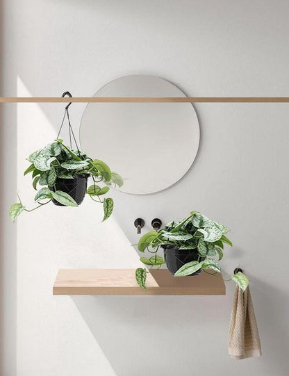  Fleurdirect - Scindapsus - 45 Cm - Ø 15 - 1 Stuks