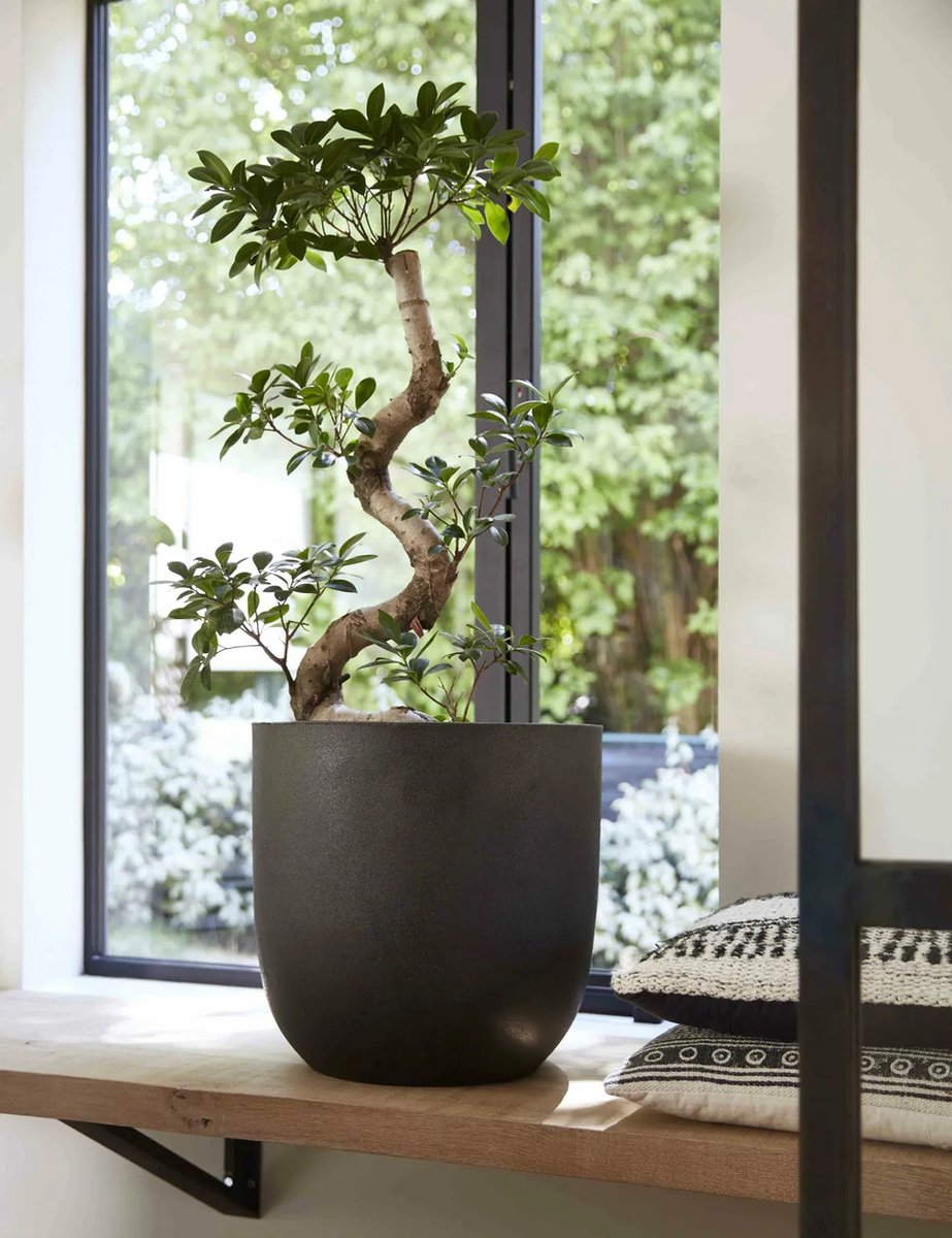  Capi Europe - Bloempot Bol Smooth NL - 43x41 - Zwart - Voor Binnen En Buiten - KBL933