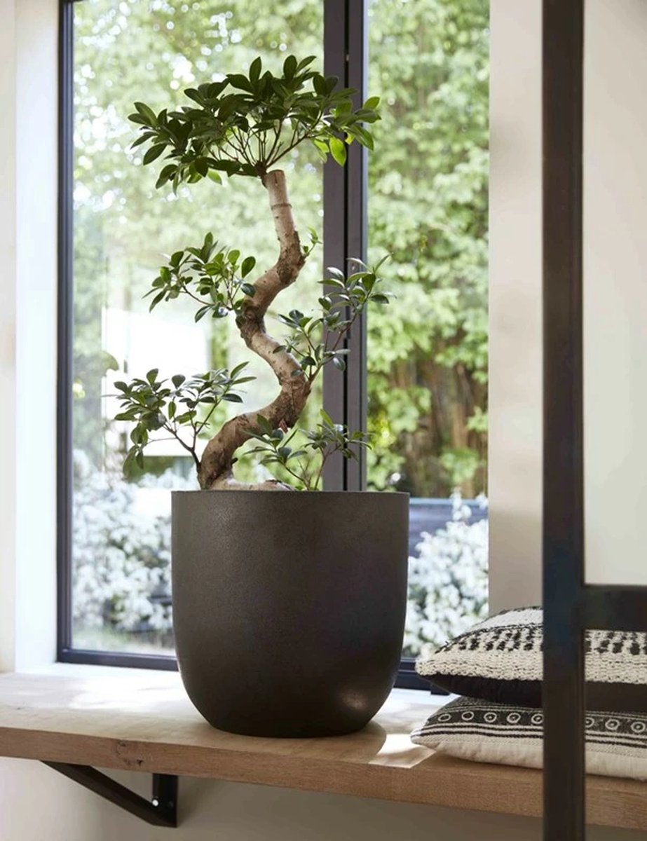  Capi Europe - Bloempot Bol Smooth NL - 35x34 - Zwart - Voor Binnen En Buiten - KBL932