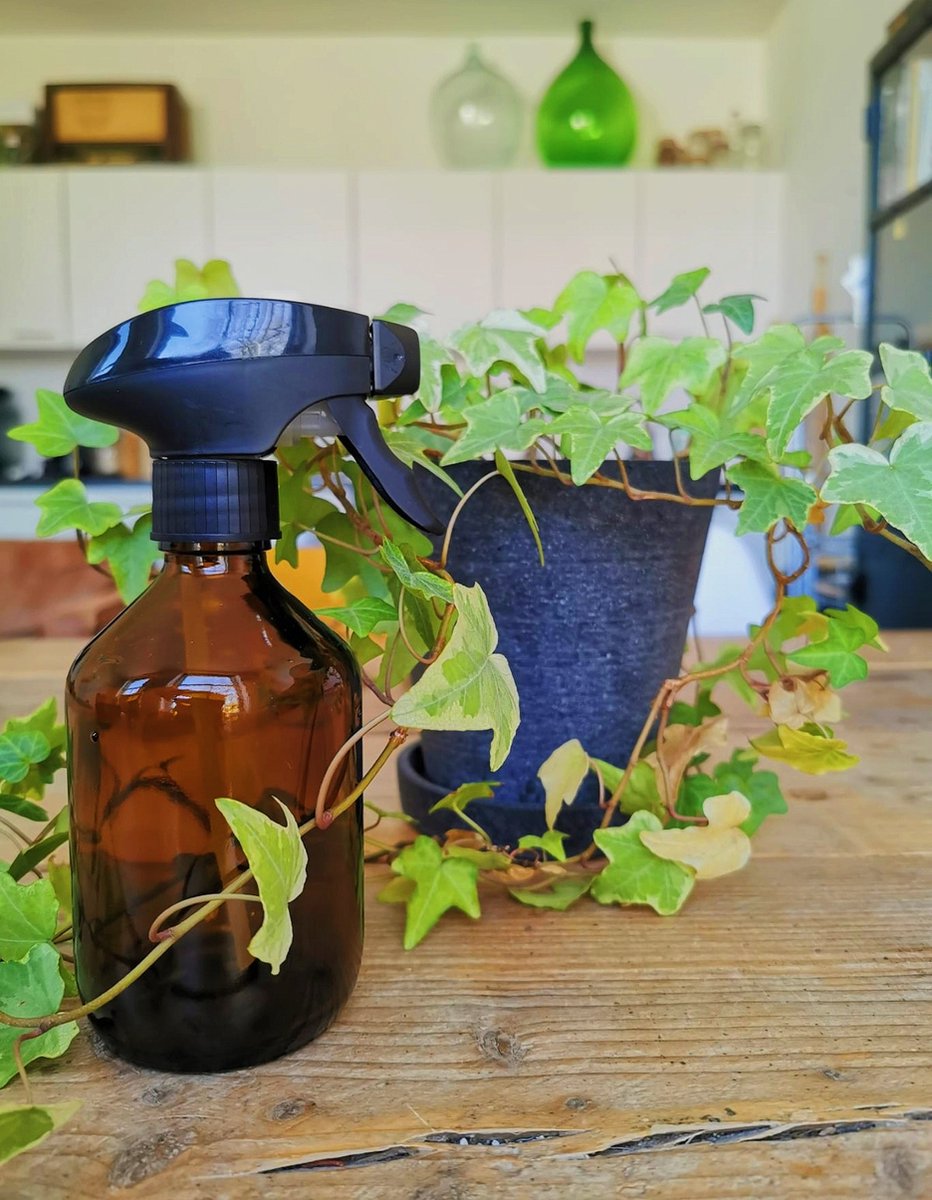  24DOTS Living Plantenspuit | 300 Ml Bruin Amber Glas | Plantensproeier | Plantenspuit Binnen | Waterverstuiver | Vernevelaar
