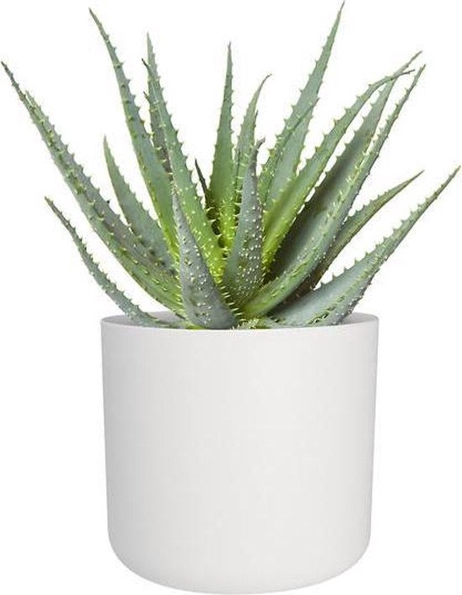  Elho B.for Soft Rond 30 - Bloempot Voor Binnen - Ø 29.5 X H 27.6 Cm - Wit