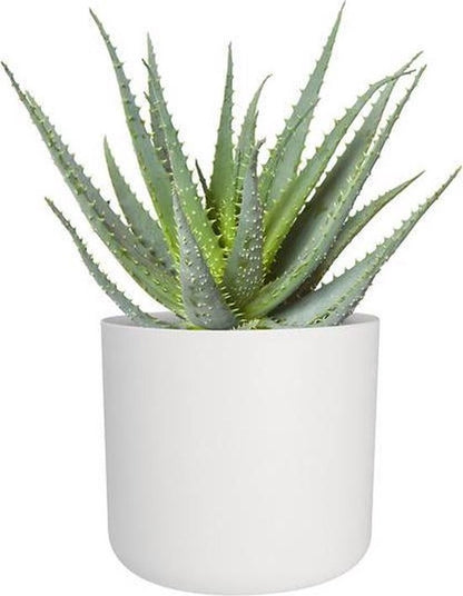  Elho B.for Soft Rond 30 - Bloempot Voor Binnen - Ø 29.5 X H 27.6 Cm - Wit