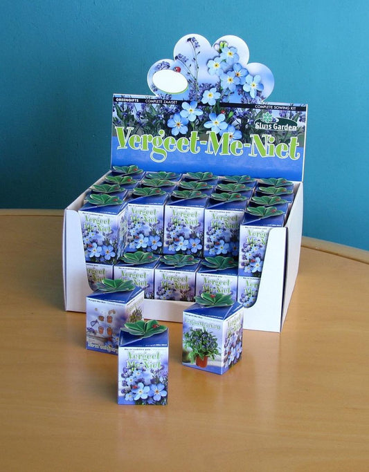  Sluis Garden - Greengift, Vergeet Me Niet 40 Stuks In Showdoos
