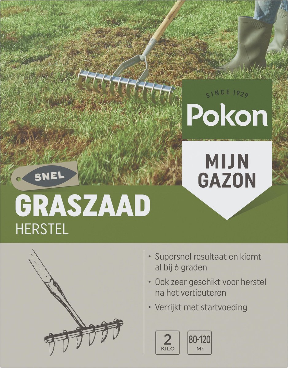  Pokon Graszaad Herstel - 2kg - Gazonherstel - Geschikt Voor 80m² Tot 120m² - Supersnel Egaal Groen Gras