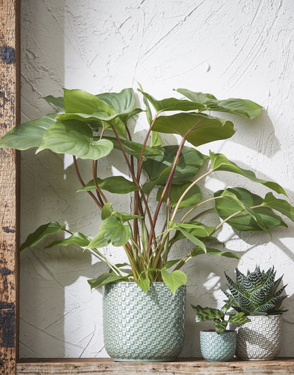 Mica Decorations Daan Bloempot - H17,5 X Ø19 Cm - Groen