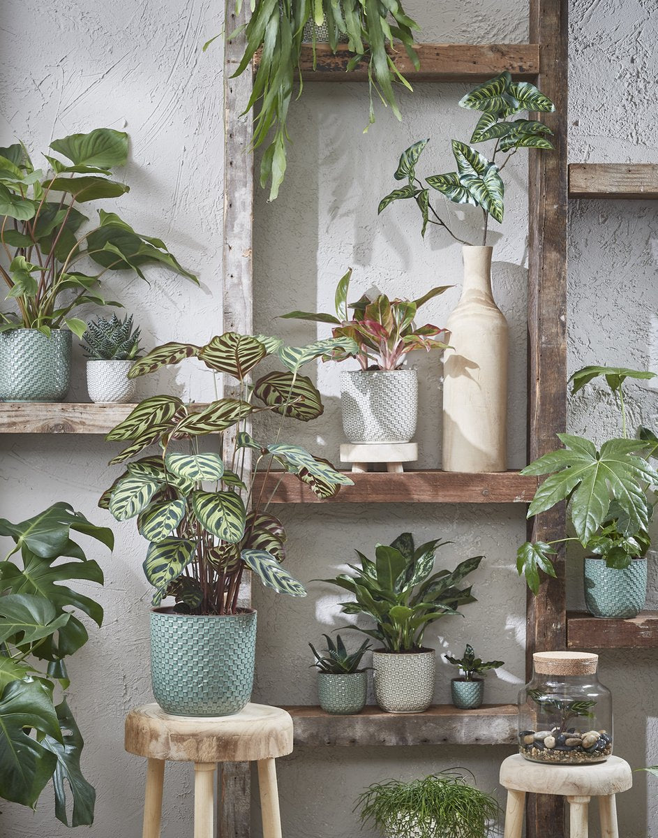  Mica Decorations Daan Bloempot - H17,5 X Ø19 Cm - Groen