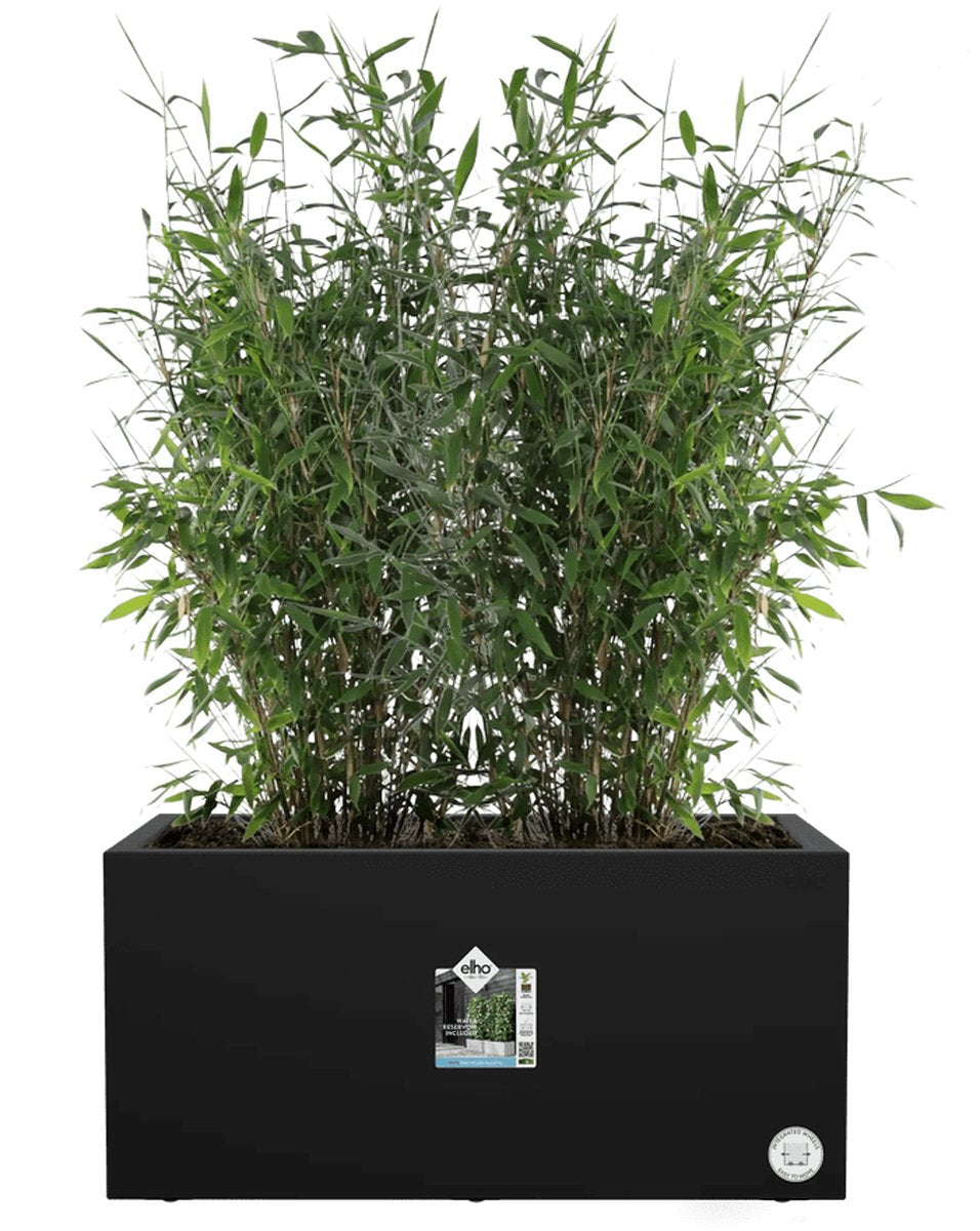  Elho Vivo Next Lang 60 - Bloempot Voor Binnen &amp; Buiten - Ø 59.0 X H 29.2 Cm - Zwart/Living Black