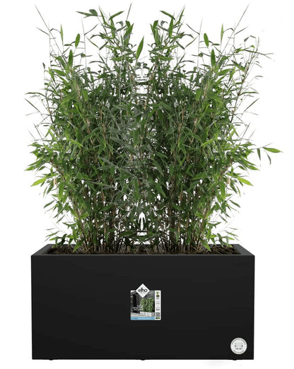  Elho Vivo Next Lang 60 - Bloempot Voor Binnen &amp; Buiten - Ø 59.0 X H 29.2 Cm - Zwart/Living Black
