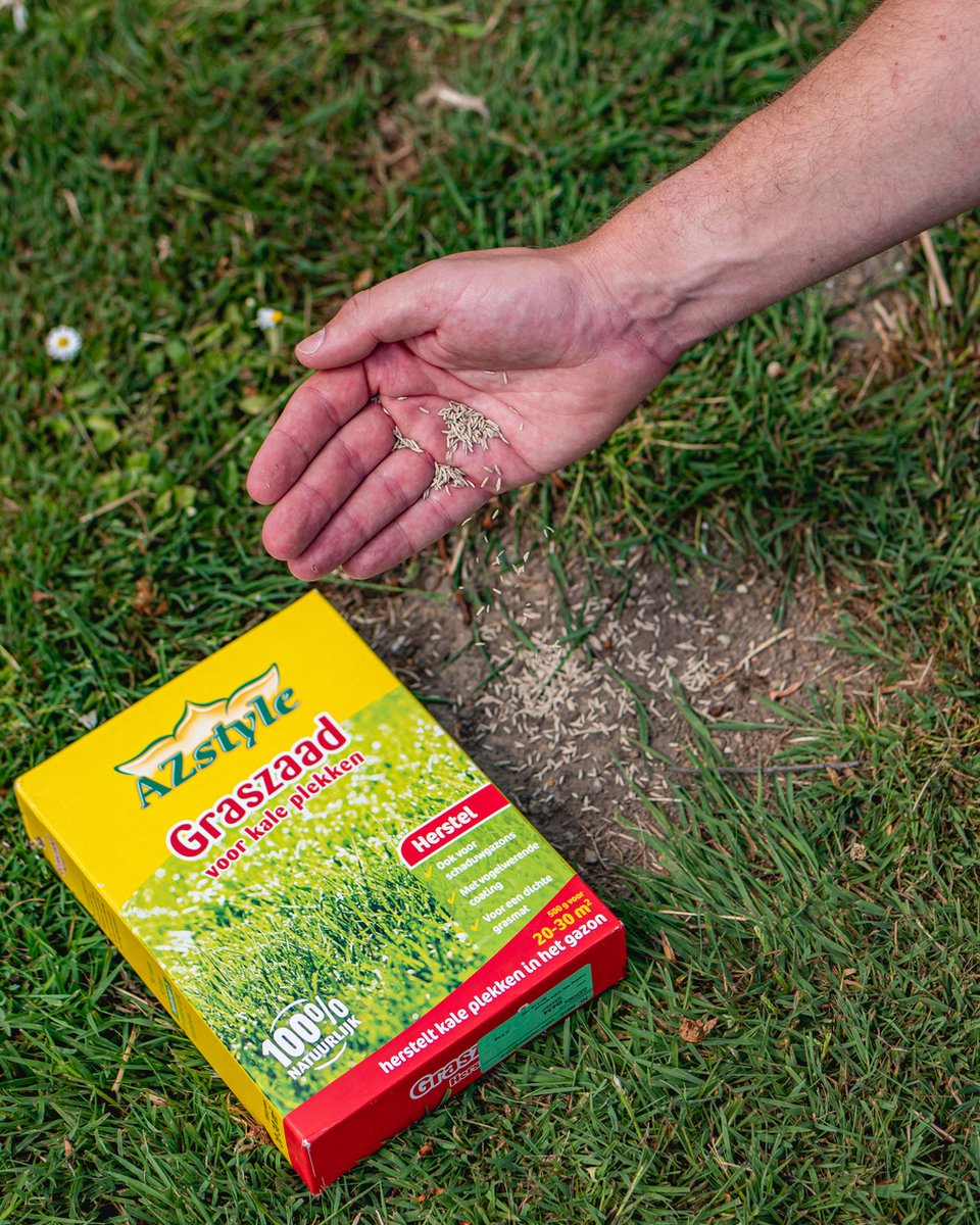  ECOstyle Graszaad Herstel Snelkiemend Gazon Gras – Herstelt Kale Plekken – Vogelwerende Coating – Geschikt Voor Zon- En Schaduw Gazons - Snelle Kieming – 20 – 30M² – 500 GR