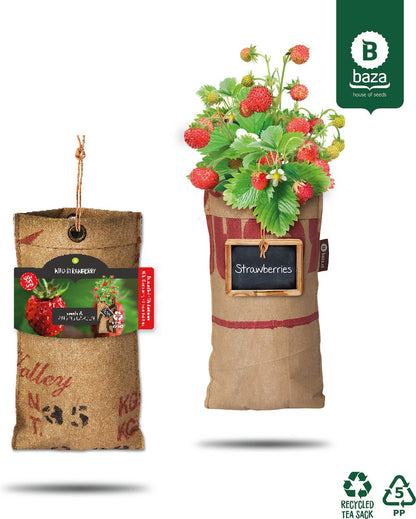  4x Hangtuintjes Moestuin Kweekset Groenten Nu Met Gratis FSC Houten Hangrekje!!