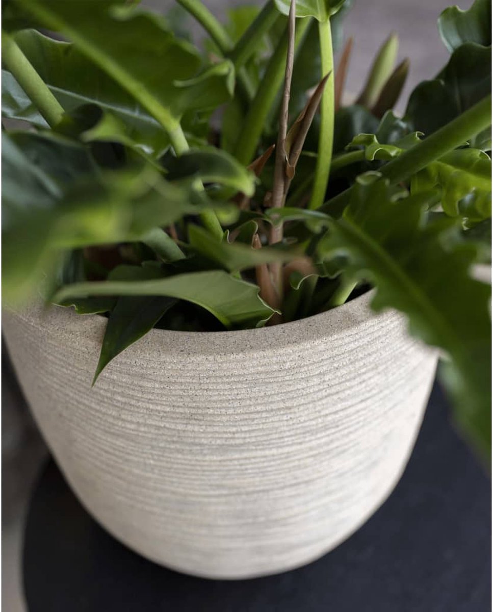  Capi Europe - Bloempot Bol Waste Rib NL - 35x34 - Terrazzo Beige - Voor Binnen En Buiten - KTBR932