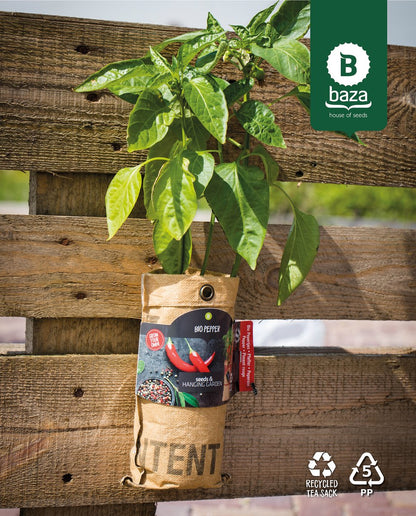  4x Hangtuintjes Moestuin Kweekset Groenten Nu Met Gratis FSC Houten Hangrekje!!