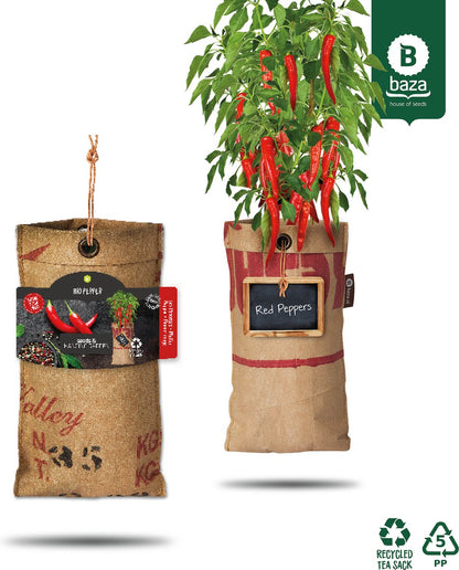  4x Hangtuintjes Moestuin Kweekset Groenten Nu Met Gratis FSC Houten Hangrekje!!