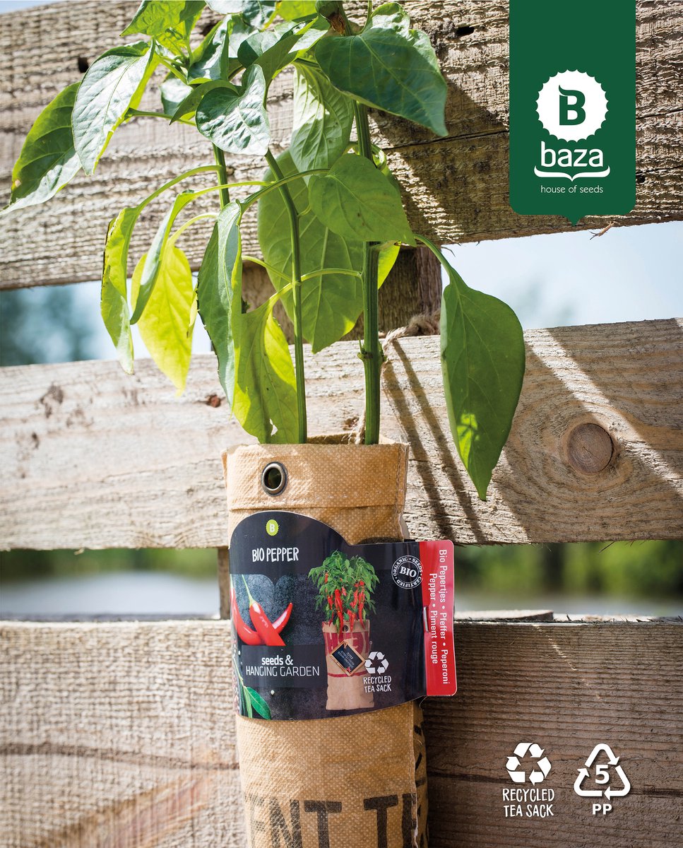  4x Hangtuintjes Moestuin Kweekset Groenten Nu Met Gratis FSC Houten Hangrekje!!