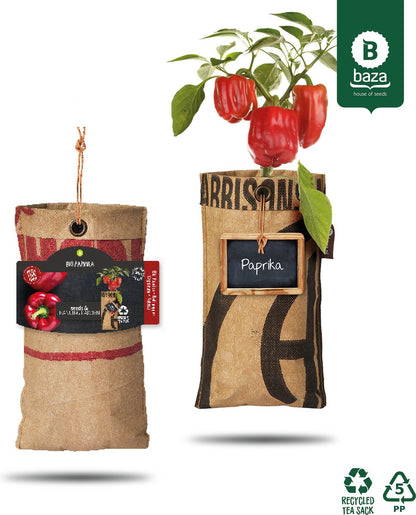  4x Hangtuintjes Moestuin Kweekset Groenten Nu Met Gratis FSC Houten Hangrekje!!