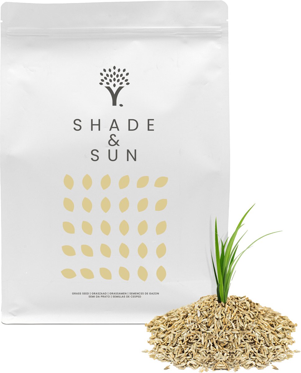  Schaduw Graszaad Voor 50m² Gras | Voor Een Gazon Met Veel Schaduw | Hitte &amp; Droogte Resistent