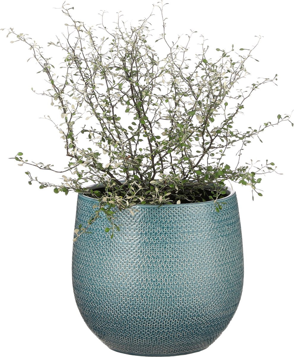  Mica Decorations Gabriel Bloempot - H20 X Ø25 Cm - Keramiek - Blauw