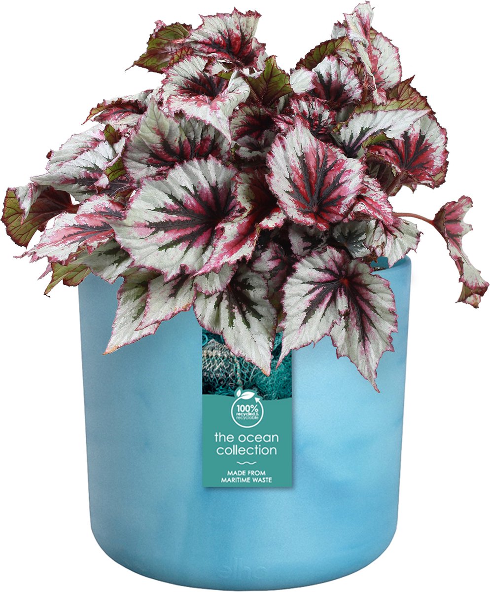  Elho The Ocean Collection Round 22cm - Bloempot Voor Binnen - 100% Gerecycled Materiaal - Gemaakt Met Zeeafval - Ø 22.3 X H 20.4 Cm - Atlantisch Blauw