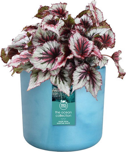  Elho The Ocean Collection Round 22cm - Bloempot Voor Binnen - 100% Gerecycled Materiaal - Gemaakt Met Zeeafval - Ø 22.3 X H 20.4 Cm - Atlantisch Blauw